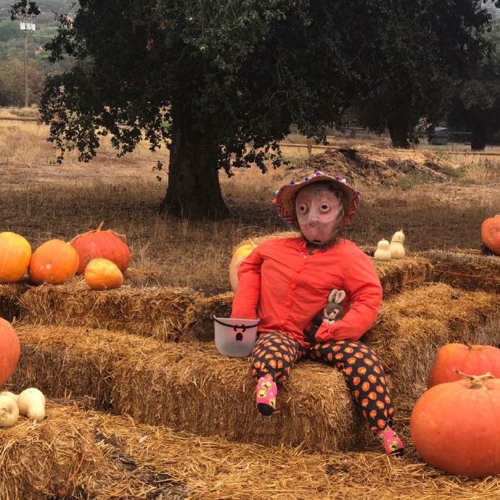Annual Pumpkin Festival 2019