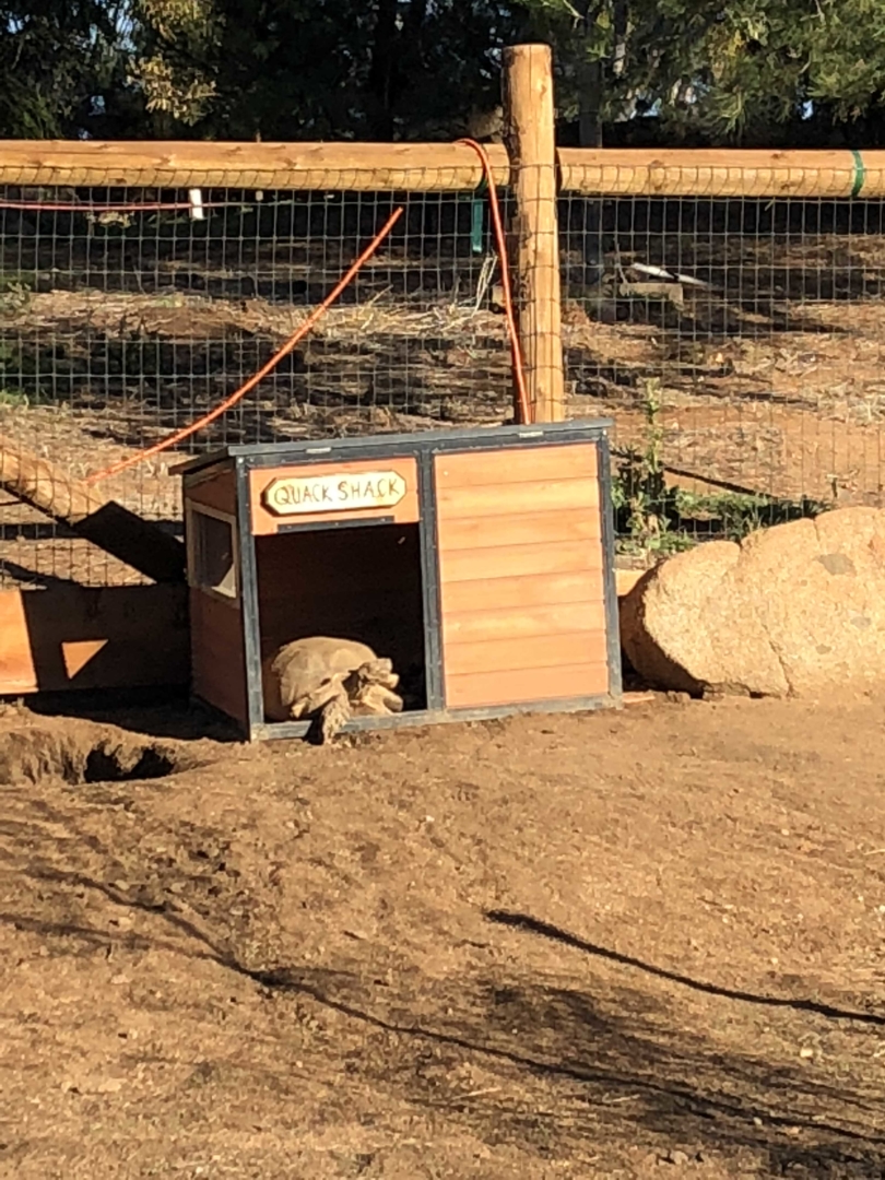 Big Mama Sun Bath