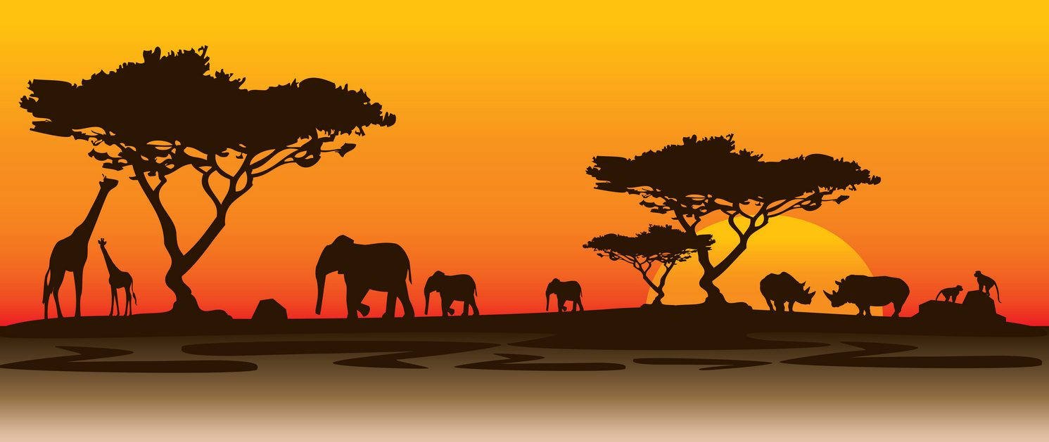 Gala 2020 Safari
