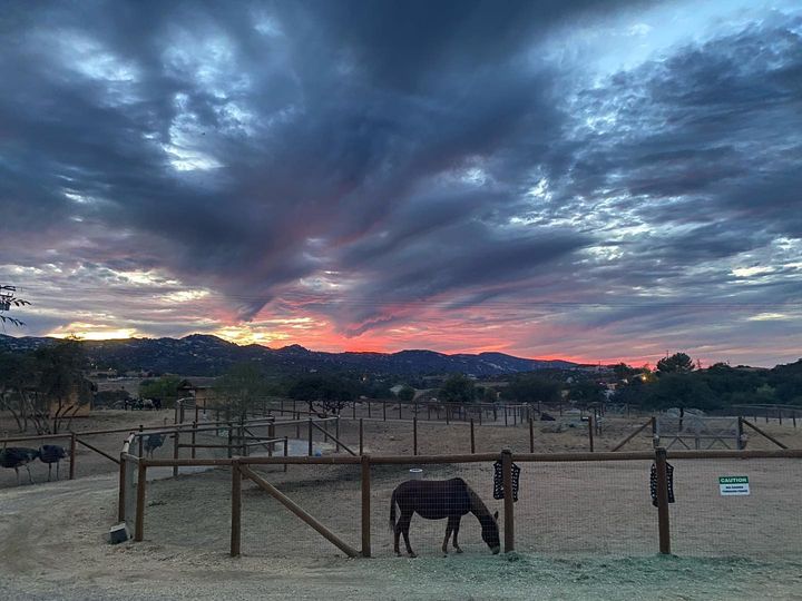 Children's Nature Retreat vs. San Diego Zoo