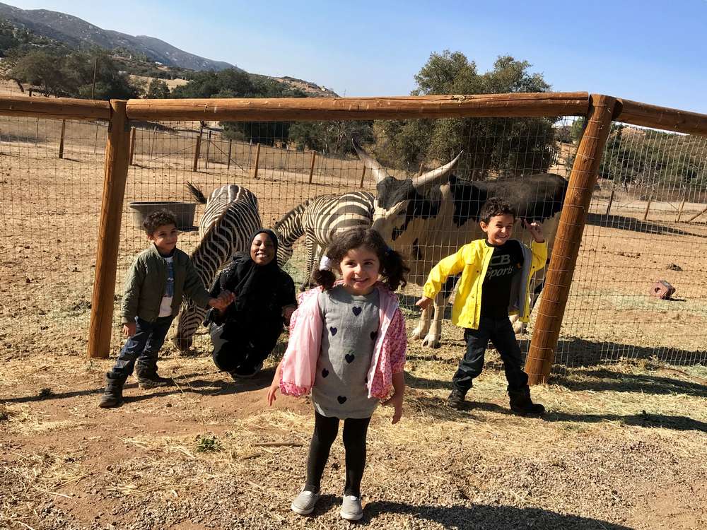 Family party at the childrens nature retreat