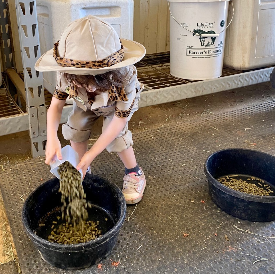 kid feeding animals