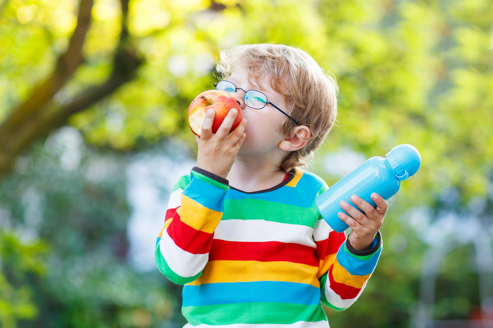 Kid eating apple and drinking water at animal park