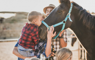 Little boy kissing horse - Things to Do at the Children’s Nature Retreat this Holiday Season