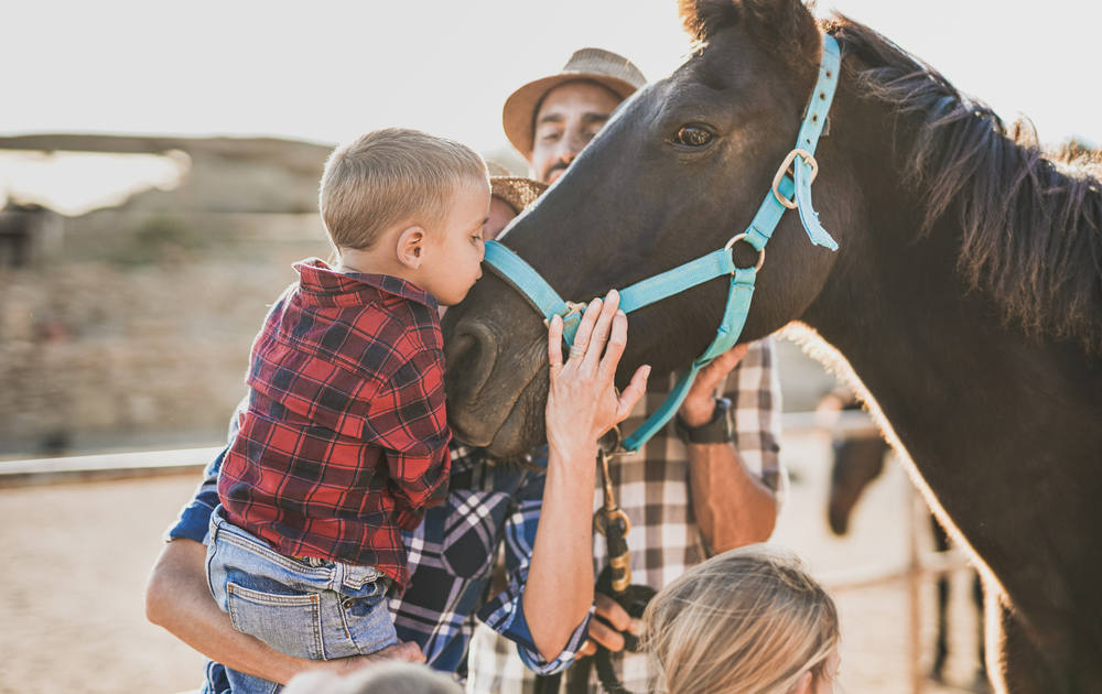 Little boy kissing horse - Things to Do at the Children’s Nature Retreat this Holiday Season