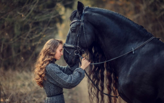 Girl with black Friesian horse - 5 Animals You Must See at an Animal Sanctuary & Farm