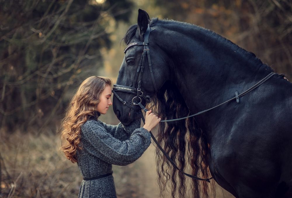 Girl with black Friesian horse - 5 Animals You Must See at an Animal Sanctuary & Farm