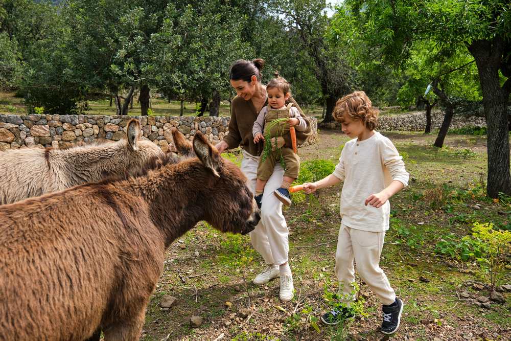 Reasons Why You Should Visit an Animal Sanctuary on Your Next Family Outing 