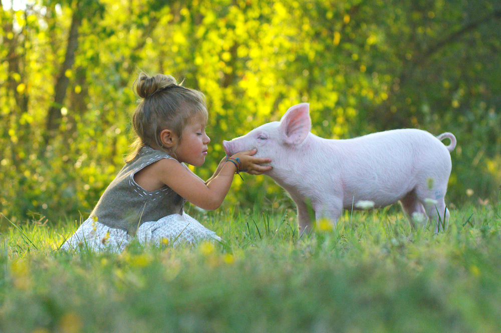 Little girl with piggy at children's camp - Benefits of Bringing Kids to an Animal Sanctuary Children's Camp